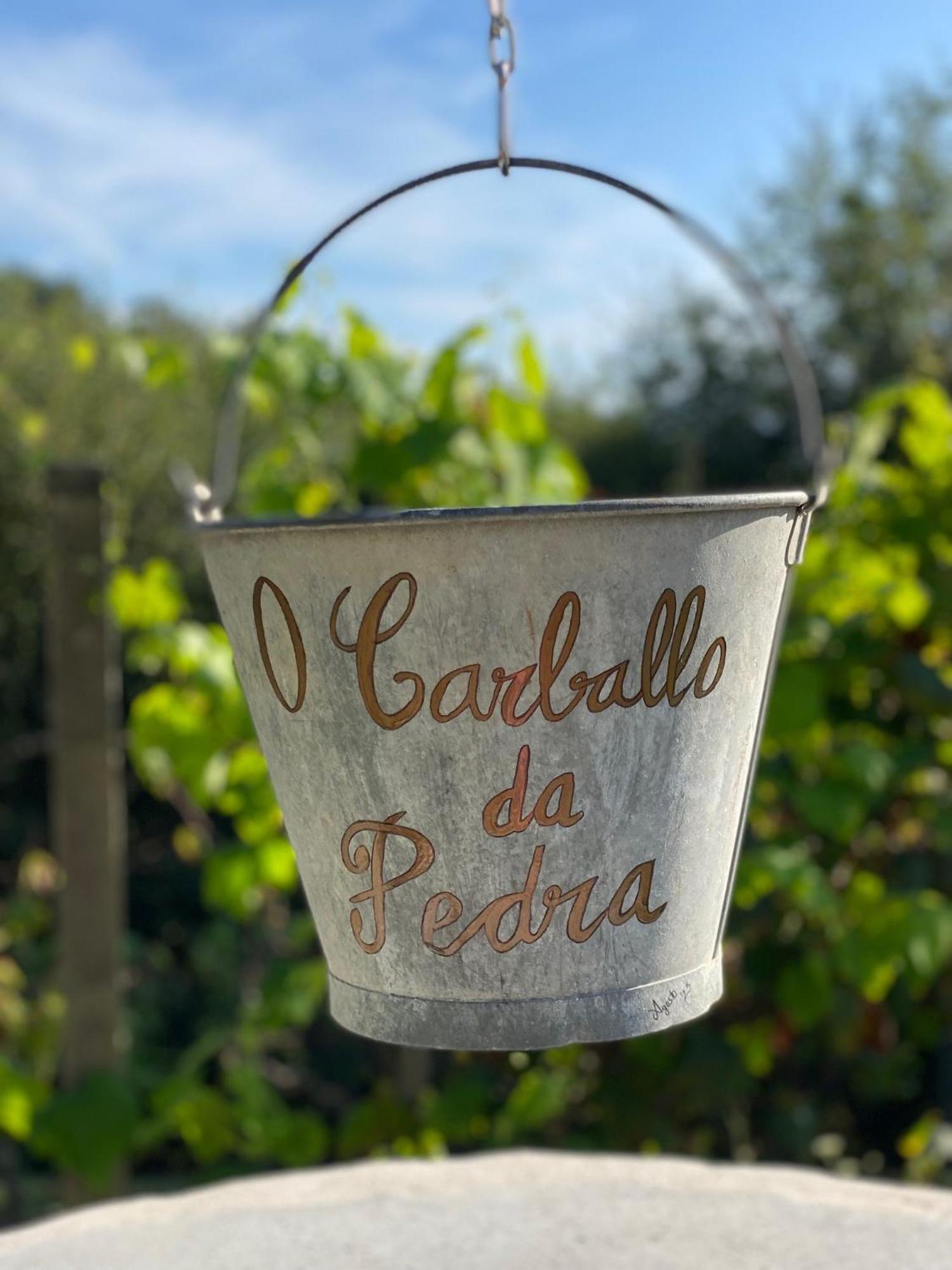 Casa Rural O Carballo Da Pedra La Caniza Kültér fotó